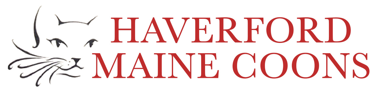 Haverford Maine Coons